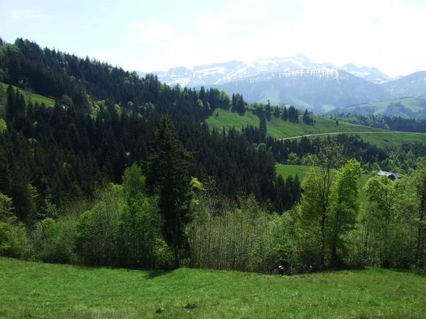 Pastures Hills Zrchersmhle Village Canton Appenzell Ausserrhoden Switzerland — Stock Photo, Image