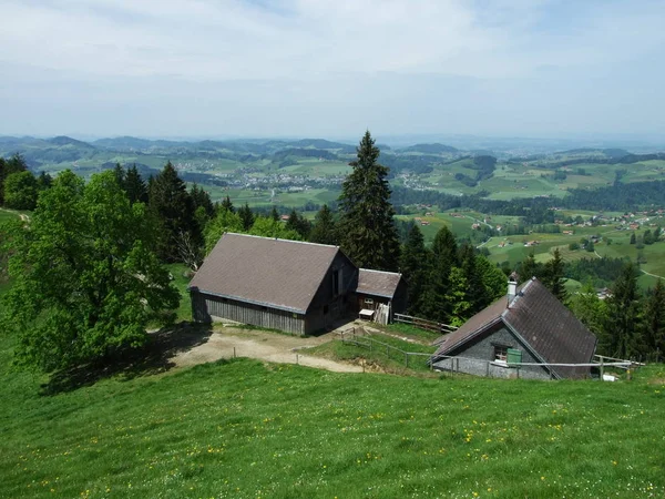 Gospodarstw Rolnych Pastwisk Szwajcaria Wieś Kanton Appenzell Ausserrhoden Zrchersmhle — Zdjęcie stockowe