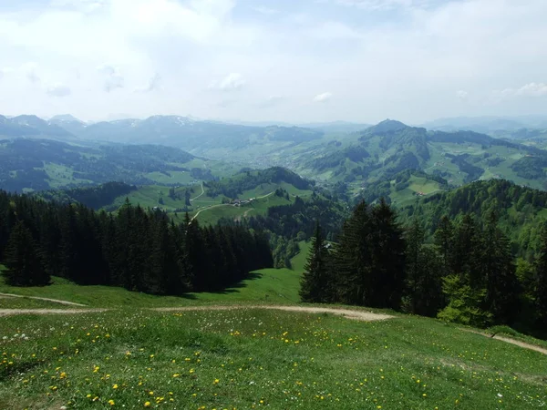 Pastagens Colinas Aldeia Zrchersmhle Cantão Appenzell Ausserrhoden Suíça — Fotografia de Stock