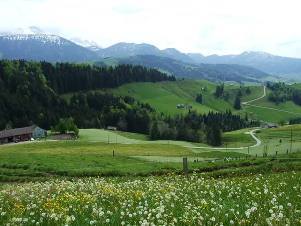 牧草地 Zrchersmhle アッペンツェル Ausserrhoden カントン スイス連邦共和国の丘 — ストック写真