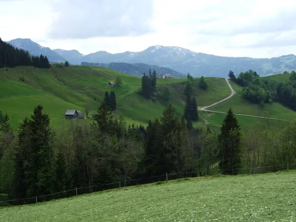 Pascoli Colline Del Villaggio Zrchersmhle Canton Appenzello Ausserrhoden Svizzera — Foto Stock