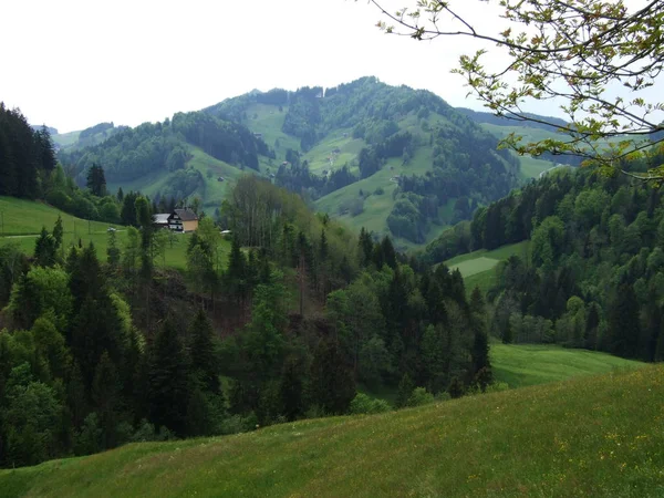 Pastwiska Wzgórza Szwajcaria Wieś Kanton Appenzell Ausserrhoden Zrchersmhle — Zdjęcie stockowe