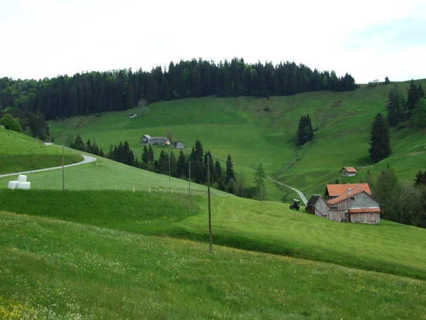 農場および Zrchersmhle アッペンツェル Ausserrhoden カントン スイス連邦共和国の牧草地 — ストック写真