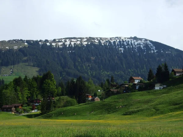 Gospodarstw Rolnych Pastwisk Szwajcaria Wieś Kanton Appenzell Ausserrhoden Zrchersmhle — Zdjęcie stockowe