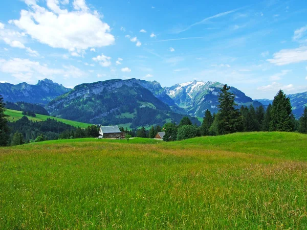 Pittoreska Ängar Och Kullar Appenzellerland Canton Appenzell Innerrhoden Schweiz — Stockfoto