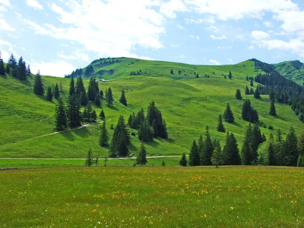 Malerische Almen Und Hügel Appenzellerland Kanton Appenzell Innerrhoden Schweiz — Stockfoto