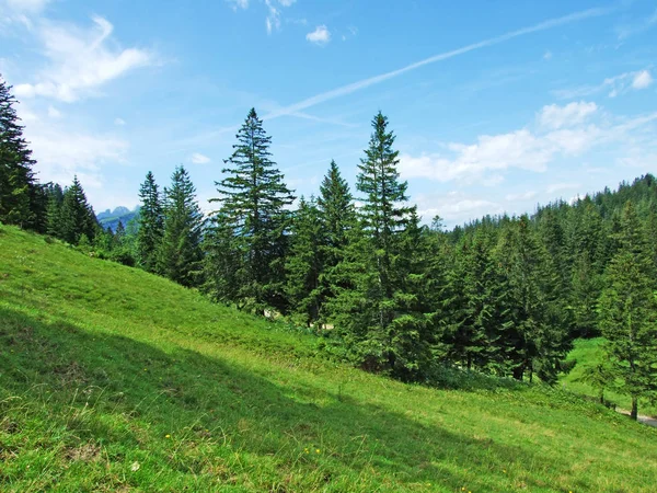 美しい牧草地と Appenzellerland アッペンツェル Innerrhoden カントン スイス連邦共和国の丘 — ストック写真