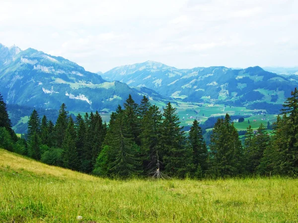 Malebných Pastvin Vrchů Appenzellerland Kanton Appenzell Innerrhoden Švýcarsko — Stock fotografie