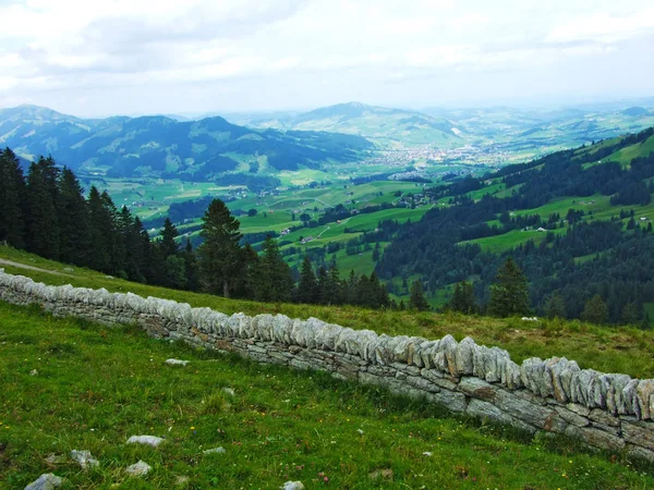 Pâturages Collines Pittoresques Appenzellerland Canton Appenzell Innerrhoden Suisse — Photo