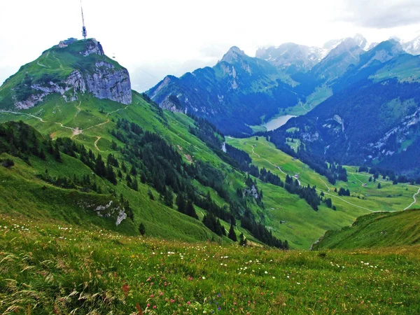 Nézd Csúcs Hoher Kasten Mountain Tömeg Alpstein Canton Appenzell Innerrhoden — Stock Fotó