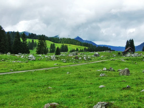 Picturesque Pastures Hills Appenzellerland Canton Appenzell Innerrhoden Switzerland — Stock Photo, Image