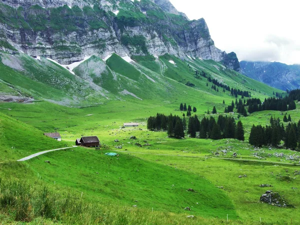 Εκμεταλλεύσεις Και Βοσκοτόπια Από Appenzellerland Περιοχή Καντονίου Του Appenzell Innerrhoden — Φωτογραφία Αρχείου