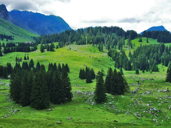 美しい牧草地と Appenzellerland アッペンツェル Innerrhoden カントン スイス連邦共和国の丘 — ストック写真