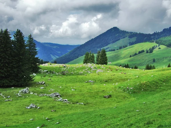 Pintorescos Pastos Colinas Appenzellerland Cantón Appenzell Innerrhoden Suiza — Foto de Stock