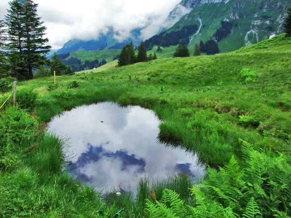 Pintorescos Pastos Colinas Appenzellerland Cantón Appenzell Innerrhoden Suiza — Foto de Stock