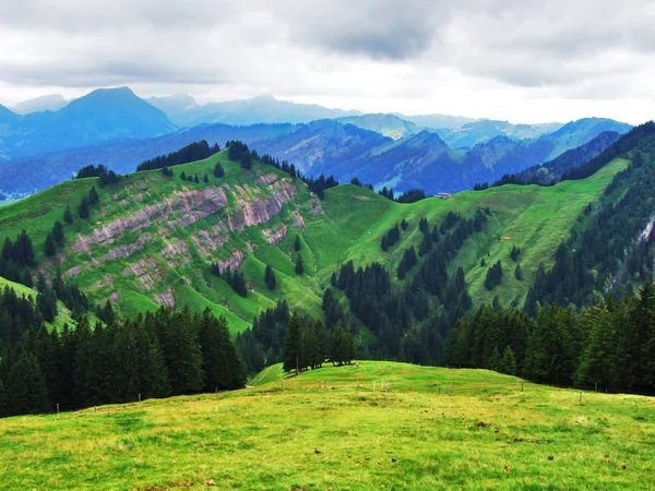 Живописные Пастбища Холмы Аппенцеллерленда Кантон Аппенцелль Иннерроден Швейцария — стоковое фото