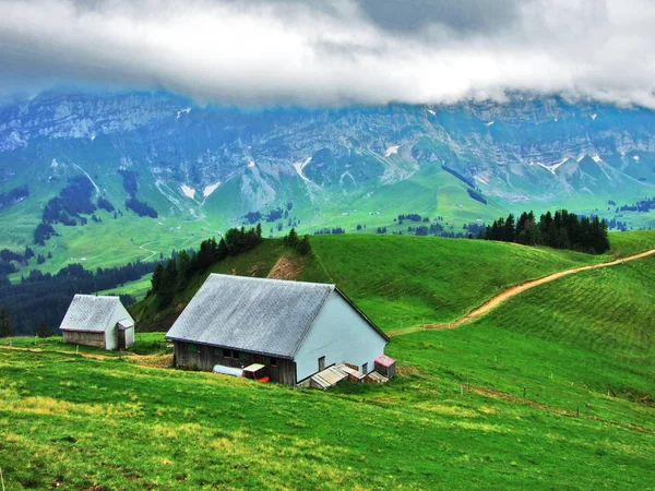 Granjas Pastos Región Appenzellerland Cantón Appenzell Innerrhoden Suiza — Foto de Stock