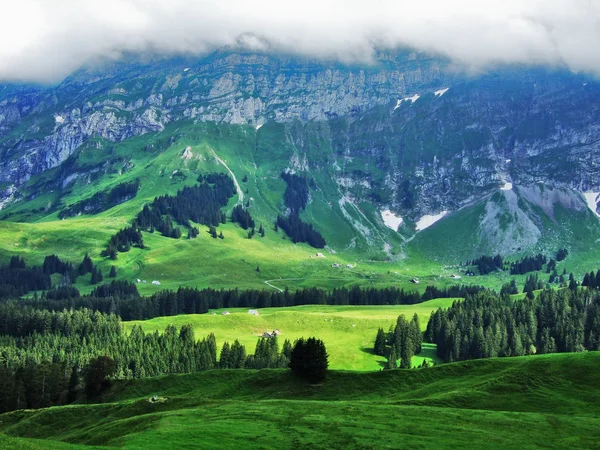 美しい牧草地と Appenzellerland アッペンツェル Innerrhoden カントン スイス連邦共和国の丘 — ストック写真