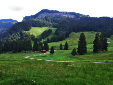 Dağ alan Lutisalp, yakın Bernhalden köyü - Canton St. Gallen, İsviçre