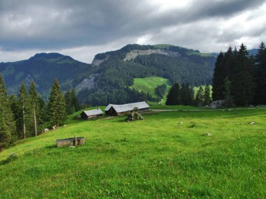 Dağ alan Lutisalp, yakın Bernhalden köyü - Canton St. Gallen, İsviçre