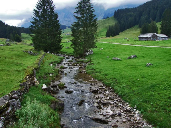 在瑞士圣加仑州伯恩汉纳村附近的卢特伦地区的流路 — 图库照片