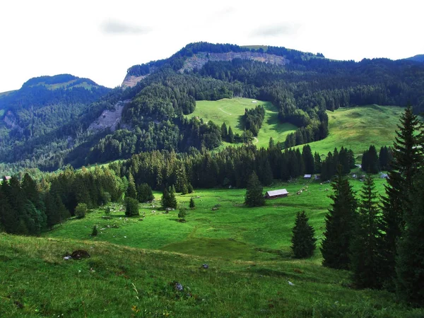 Région Montagneuse Lutisalp Près Village Bernhalden Canton Saint Gall Suisse — Photo