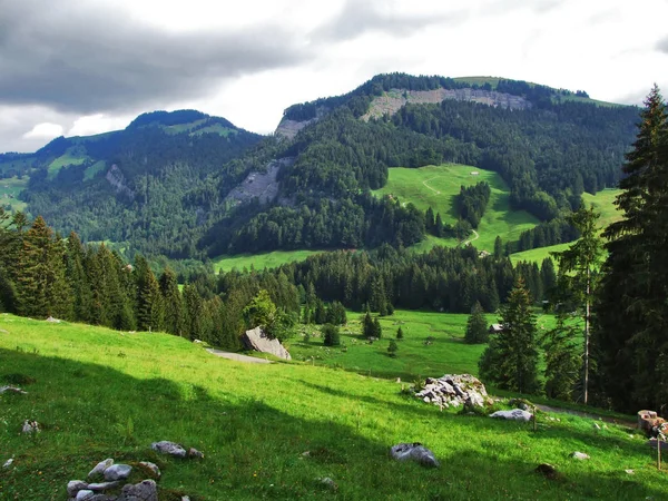 Obszar Górski Lutisalp Niedaleko Wsi Bernhalden Kantonu Gallen Szwajcaria — Zdjęcie stockowe