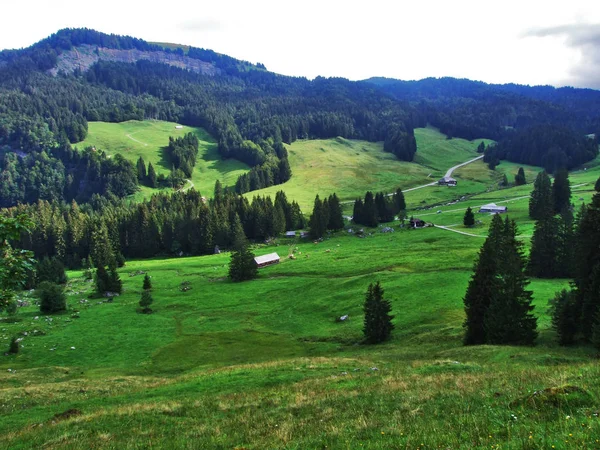 Zona Montaña Lutisalp Cerca Del Pueblo Bernhalden Canton Gallen Suiza — Foto de Stock
