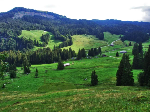 Région Montagneuse Lutisalp Près Village Bernhalden Canton Saint Gall Suisse — Photo