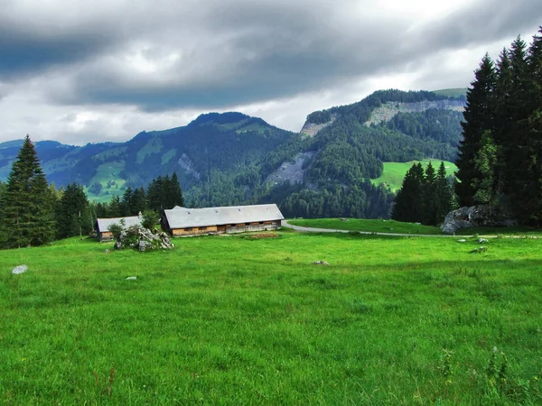 Fjällområde Lutisalp Nära Byn Bernhalden Kantonen Gallen Schweiz — Stockfoto