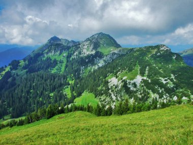 Neuenalpspitz tepe Obertoggenburg dağ - Canton St. Gallen, İsviçre