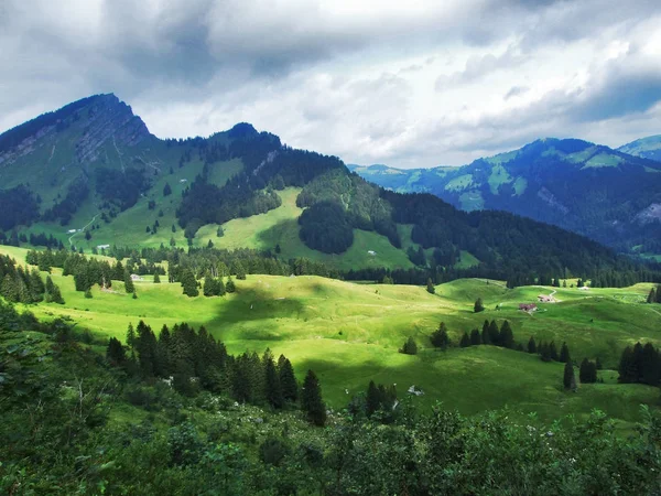 Ορεινή Περιοχή Lutisalp Κοντά Στο Χωριό Bernhalden Καντόνι Σεν Γκάλεν — Φωτογραφία Αρχείου