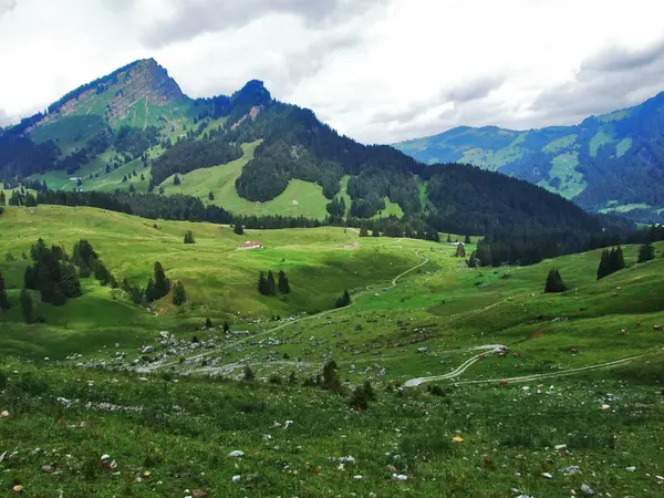 Zona Montaña Lutisalp Cerca Del Pueblo Bernhalden Canton Gallen Suiza —  Fotos de Stock