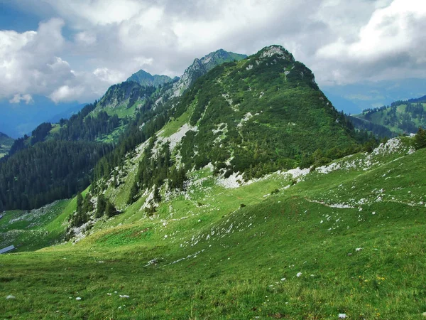 Szczyt Neuenalpspitz Górach Obertoggenburg Kantonu Gallen Szwajcaria — Zdjęcie stockowe