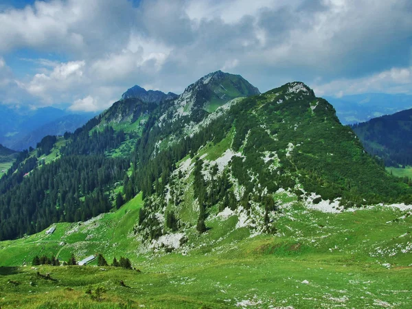 Neuenalpspitz Pico Montanha Obertoggenburg Canton Gallen Suíça — Fotografia de Stock