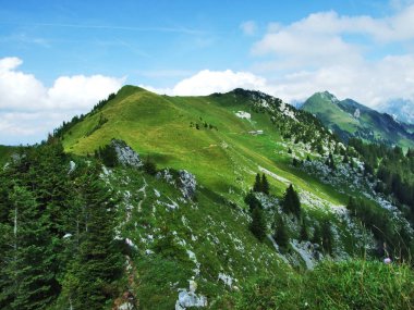 Lutispitz tepe Obertoggenburg dağ - Canton St. Gallen, İsviçre