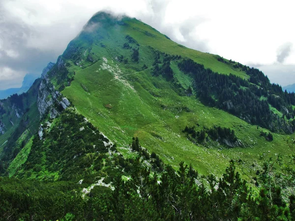 Pic Lutispitz Sur Montagne Obertoggenburg Canton Saint Gall Suisse — Photo