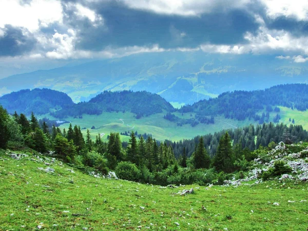 Vista Panorámica Del Paisaje Desde Montaña Obertoggenburg Canton Gallen Suiza — Foto de Stock