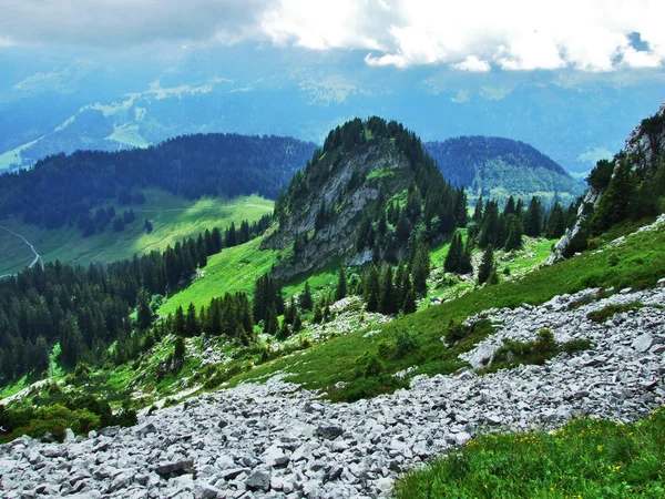 Panoramiczny Widok Krajobraz Obertoggenburg Góry Kantonu Gallen Szwajcaria — Zdjęcie stockowe