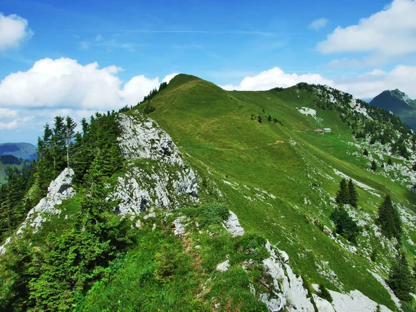 Lutispitz Piek Obertoggenburg Berg Zwitserse Gallen — Stockfoto