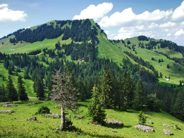 Stockberg Pico Montanha Obertoggenburg Canton Gallen Suíça — Fotografia de Stock