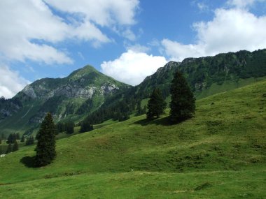 Alp peyzaj Lutisalp alanı - Canton St. Gallen, İsviçre