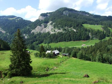 Alp peyzaj Lutisalp alanı - Canton St. Gallen, İsviçre
