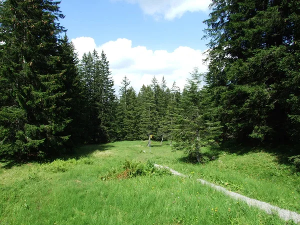 Alpine Landschaft Des Lutisalp Gebietes Kanton Gallen Schweiz — Stockfoto