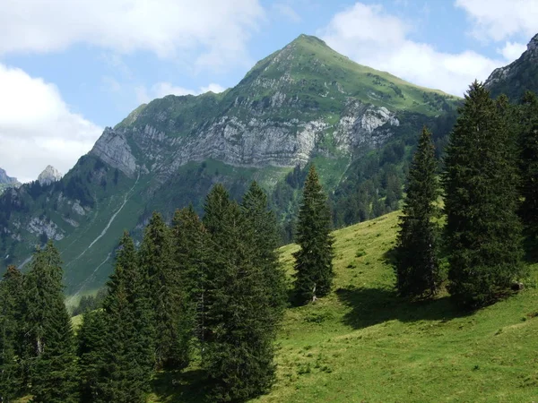 Paisaje Alpino Zona Lutisalp Canton Gallen Suiza —  Fotos de Stock