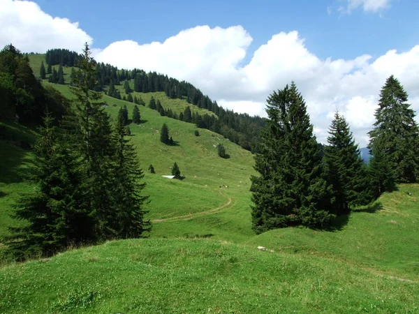 Alpejskim Krajobrazem Regionu Lutisalp Kantonu Gallen Szwajcaria — Zdjęcie stockowe