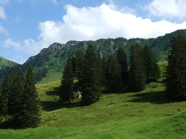 Alpine Landschaft Des Lutisalp Gebietes Kanton Gallen Schweiz — Stockfoto