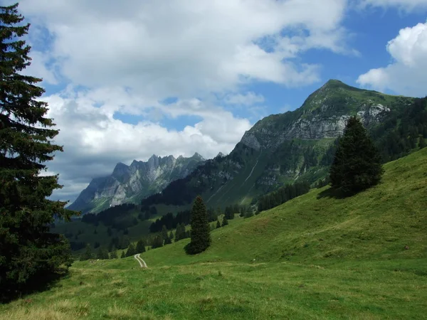 Alpine Landschap Van Lutisalp Ruimte Zwitserse Gallen — Stockfoto