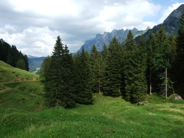 Alpská Krajina Lutisalp Oblasti Kantonu Gallen Švýcarsko — Stock fotografie