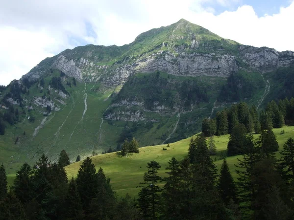 Paisaje Alpino Zona Lutisalp Canton Gallen Suiza —  Fotos de Stock